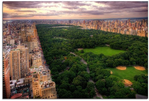 Центральный парк в Нью-Йорке.