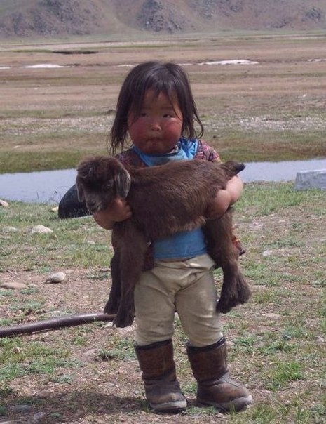 Девочка держит маленькую козу, спасенную от наводнения.