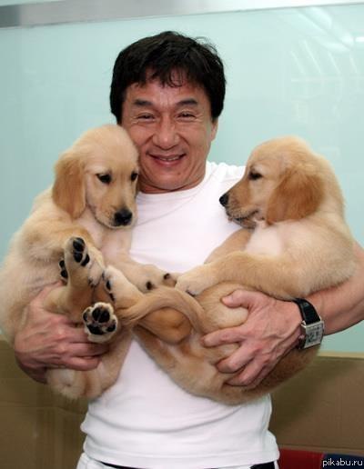 Джеки Чан с собачкамибезумно позитивное фото