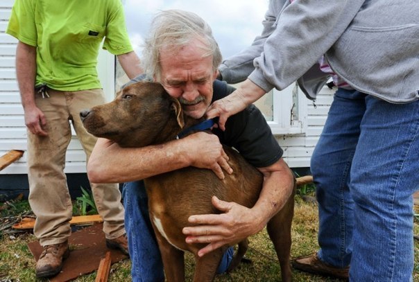 Грег Кук обнимает свою потерянную собаку после того, как т
