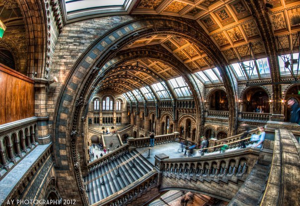 Музей естественной истории, Лондон, Англия.