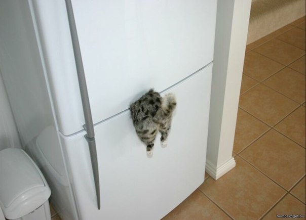 Очень необычная идея магнитика на холодильник.