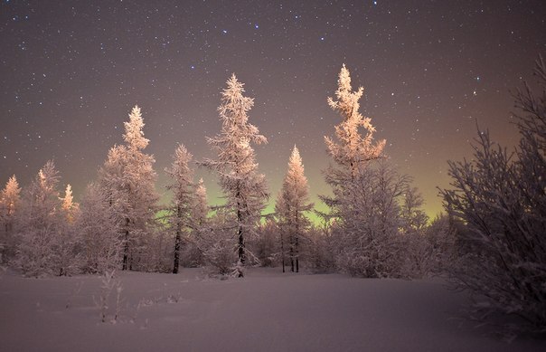 Полярная ночь, Ямало-Ненецкий автономный округ.
