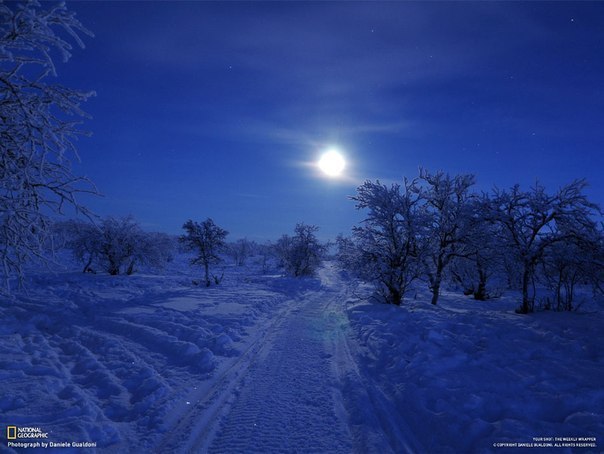 Тундра, снятая днем во время полярной ночи.