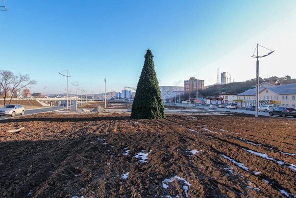 Во Владивостоке установили ёлку