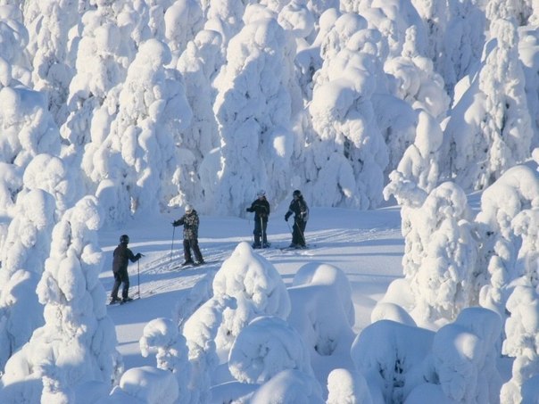 Зима в Финляндии.