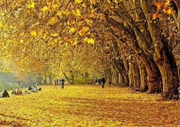 Золотая осень, земля Вюртемберг, Германия.