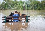 Без лишних слов