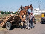 Чуток переборщил)