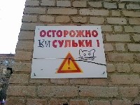 Кругом опасность