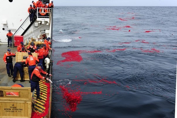 Члены экипажа катера береговой охраны США «Juniper» рассыпают 1,5 миллиона высушенных лепестков роз над мес