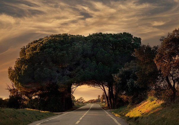 Естественный туннель в Португалии.