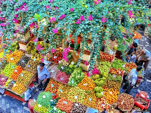 Фруктовый рынок на острове Мадейра.