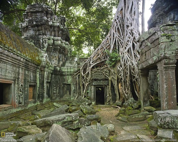 Храм Та Прум, Камбоджа, основан в конце 12 века. Автор фото: Ro