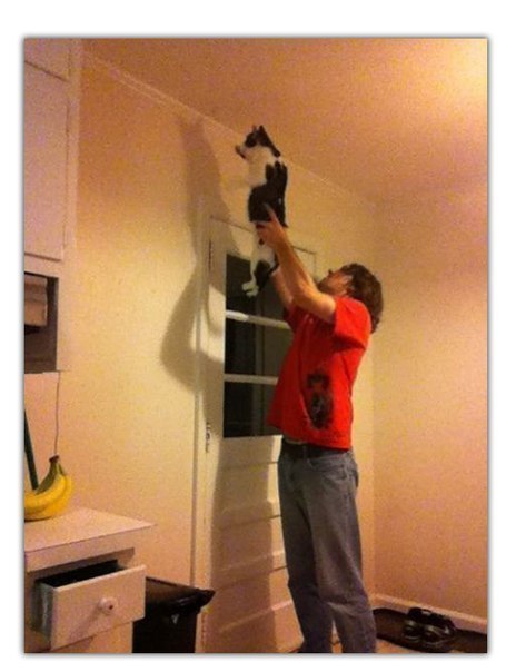 Как я убираю пауков с потолка