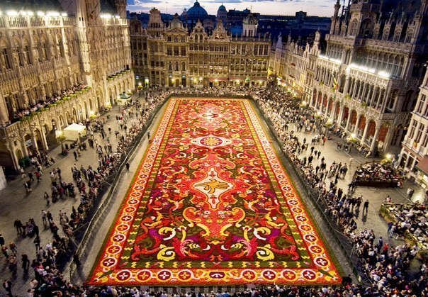Ковёр из цветов в Брюсселе.