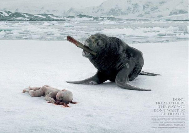 Реклама против убийства животных: "Не поступайте так, как н