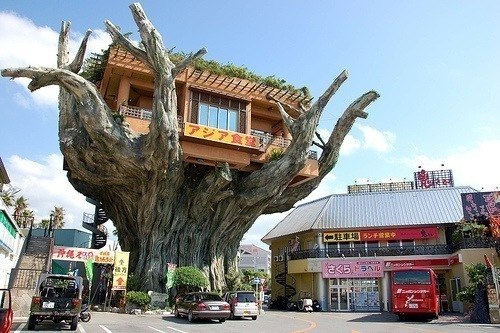 Ресторан на дереве, остров Окинава.