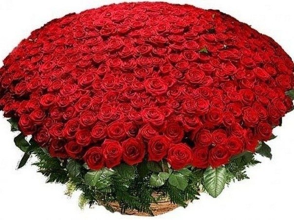 Самый большой букет цветов содержал 13 777 роз.
