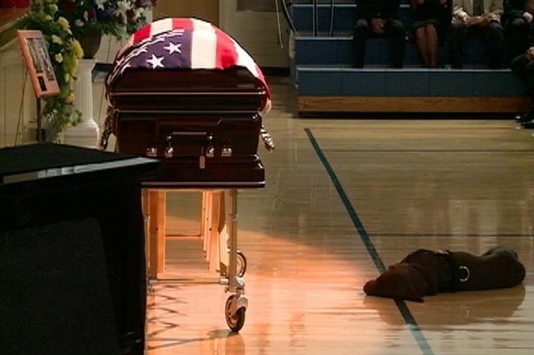 Собака погибшего военного лежит у его гроба на похоронах в