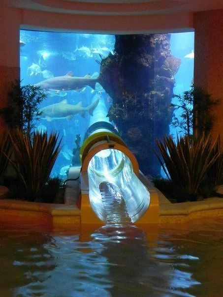 Водная горка, проходящая сквозь огромный аквариум c акулам
