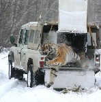 Долгожданная свобода