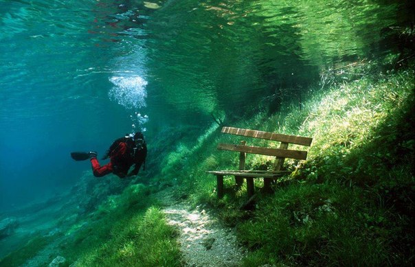 Это Зеленое озеро на самом деле парк в Австрии, но летом он