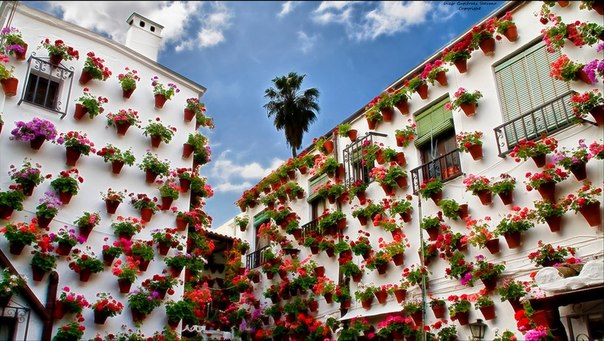 Кордоба, Испания