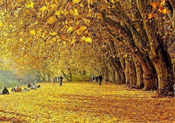 Осень в Германии