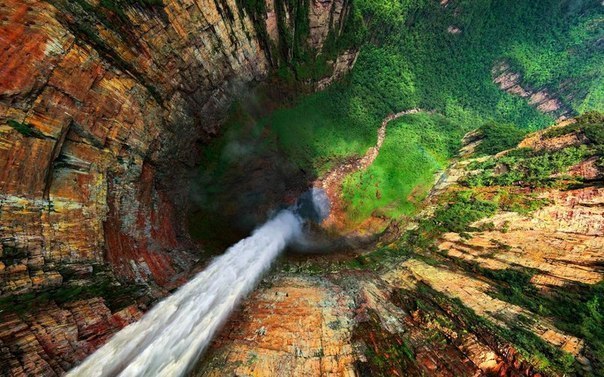 В тропических лесах Венесуэлы находится водопад Анхель - с